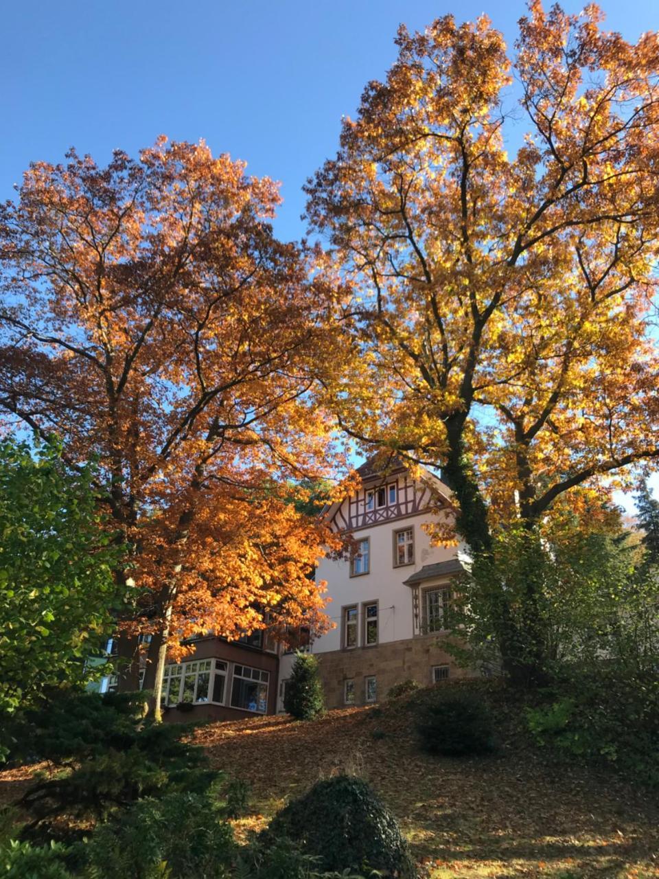 Waldhotel Bad Muenstereifel Exterior photo